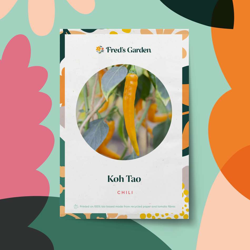 Chili 'Koh Tao' (frö)